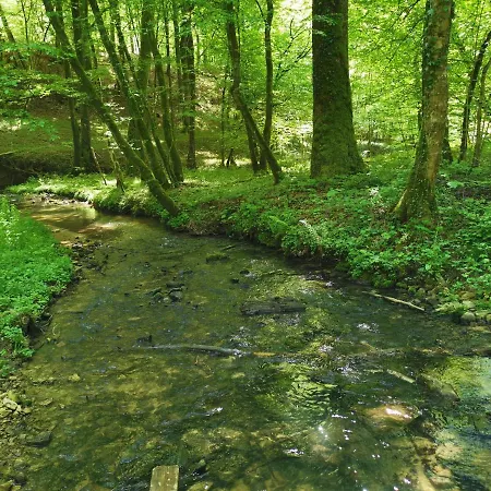 Prázdninový dům Le Pavillon De L'herboriste 14p Jacuzzi Jardin Tintigny