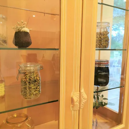 Prázdninový dům Le Pavillon De L'herboriste 14p Jacuzzi Jardin