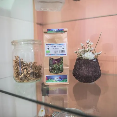 Le Pavillon De L'herboriste 14p Jacuzzi Jardin Prázdninový dům *