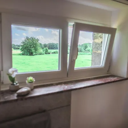 Prázdninový dům Le Pavillon De L'herboriste 14p Jacuzzi Jardin *